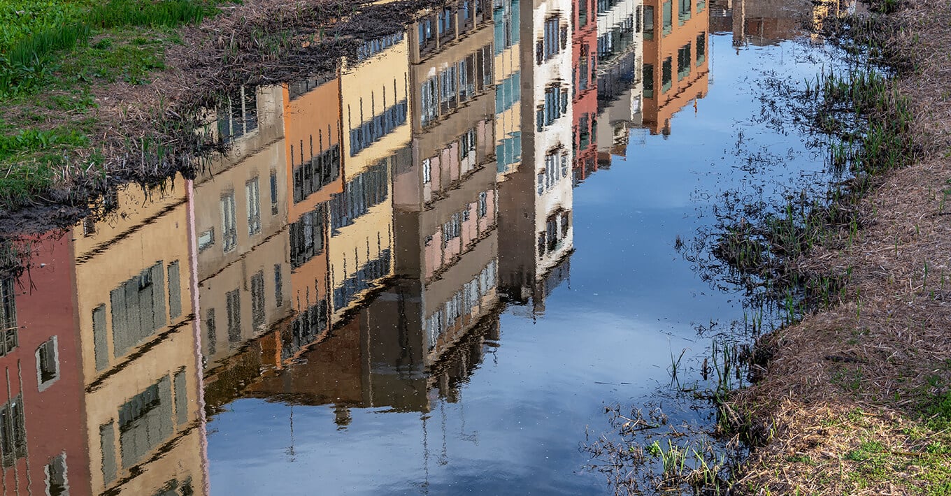 Vlaamse koper blijft ongevoelig voor overstromingsrisico